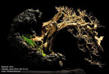 Unity artist Andres Bicocca